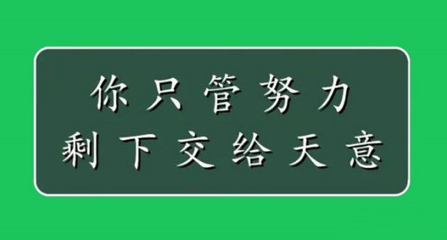 40条你只管努力剩下的交给天意的美文句子(描写你只管努力剩下的交给天意的句子说说)