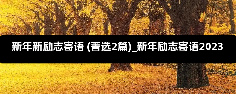 新年新励志寄语 (菁选2篇)_新年励志寄语2023